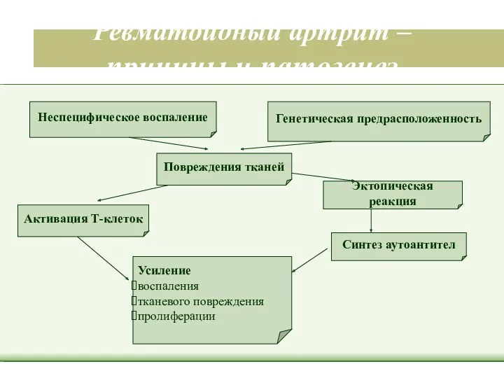 Ревматоидный артрит – причины и патогенез Неспецифическое воспаление Генетическая предрасположенность