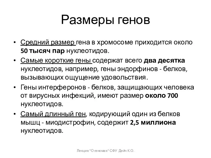 Размеры генов Средний размер гена в хромосоме приходится около 50