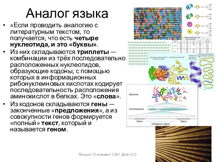 Аналог языка «Если проводить аналогию с литературным текстом, то получается,