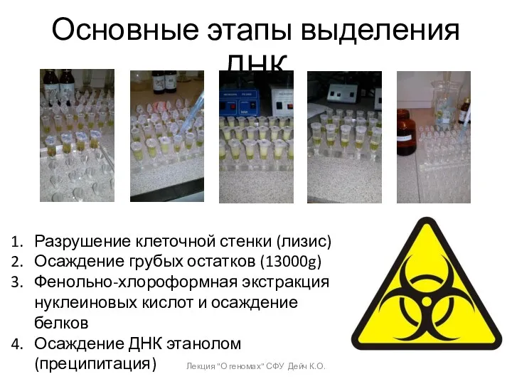 Основные этапы выделения ДНК Разрушение клеточной стенки (лизис) Осаждение грубых