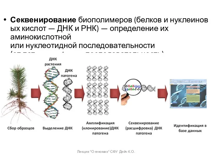 Секвенирование биополимеров (белков и нуклеиновых кислот — ДНК и РНК)