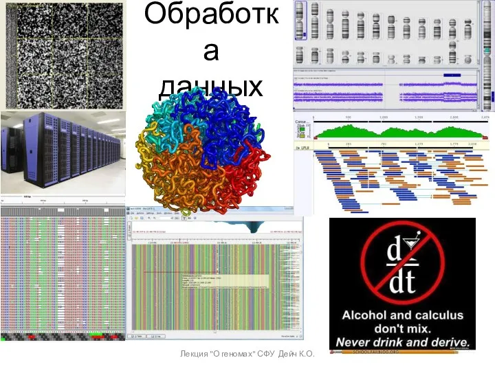 Обработка данных Лекция "О геномах" СФУ Дейч К.О.