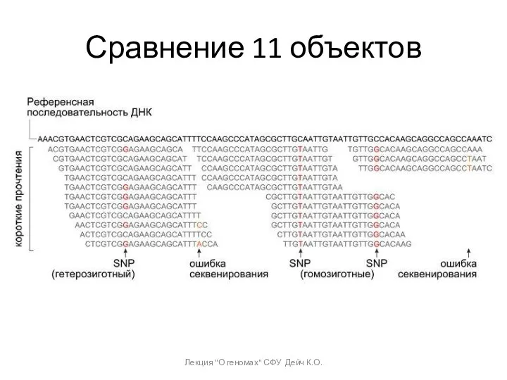 Сравнение 11 объектов Лекция "О геномах" СФУ Дейч К.О.