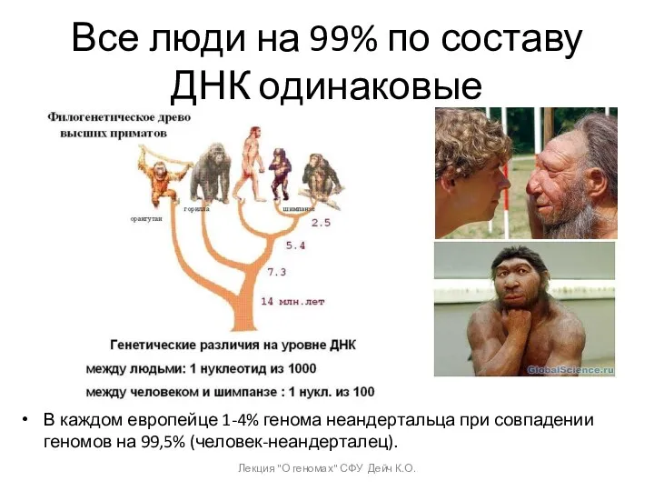 Все люди на 99% по составу ДНК одинаковые В каждом