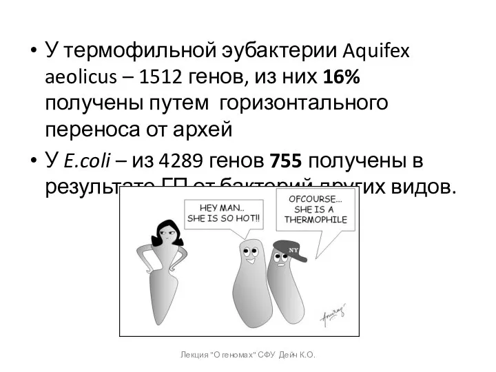 У термофильной эубактерии Aquifex aeolicus – 1512 генов, из них