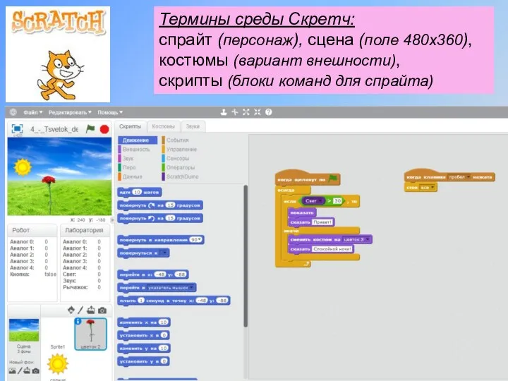 Термины среды Скретч: спрайт (персонаж), сцена (поле 480х360), костюмы (вариант внешности), скрипты (блоки команд для спрайта)
