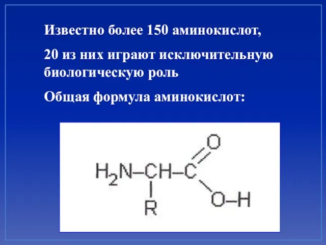 Известно более 150 аминокислот, 20 из них играют исключительную биологическую роль Общая формула аминокислот: