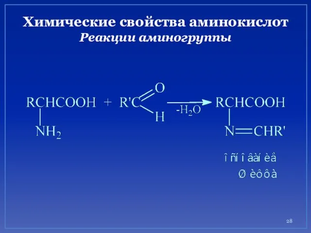 Химические свойства аминокислот Реакции аминогруппы