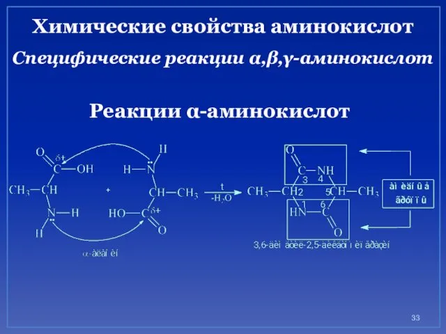 Химические свойства аминокислот Специфические реакции α,β,γ-аминокислот Реакции α-аминокислот