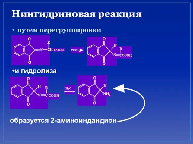 Нингидриновая реакция путем перегруппировки и гидролиза образуется 2-аминоиндандион