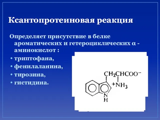 Ксантопротеиновая реакция Определяет присутствие в белке ароматических и гетероциклических α - аминокислот :