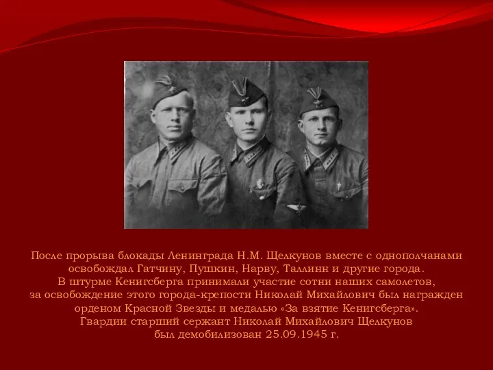 После прорыва блокады Ленинграда Н.М. Щелкунов вместе с однополчанами освобождал