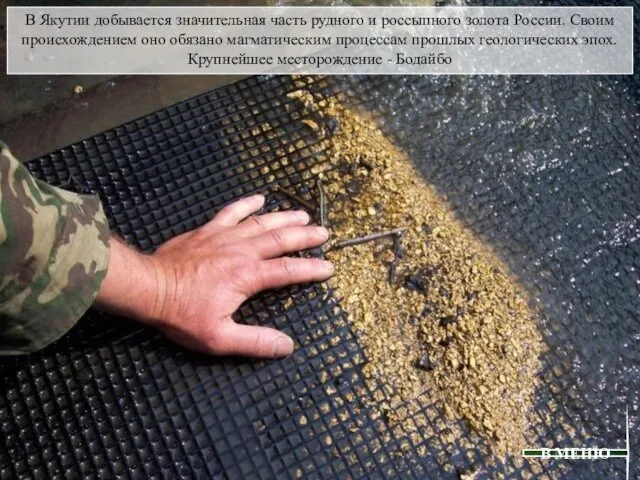 В Якутии добывается значительная часть рудного и россыпного золота России. Своим происхождением оно