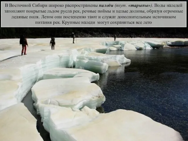 В Восточной Сибири широко распространены наледи (якут. «тарыны»). Воды наледей затопляют покрытые льдом