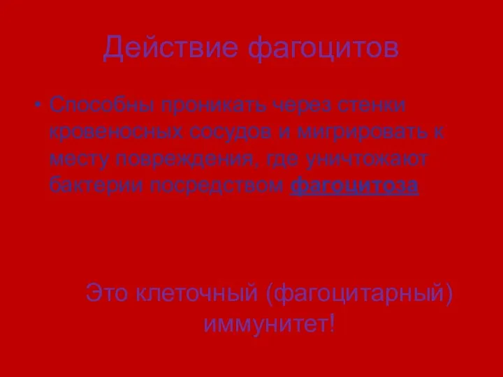 Действие фагоцитов Способны проникать через стенки кровеносных сосудов и мигрировать