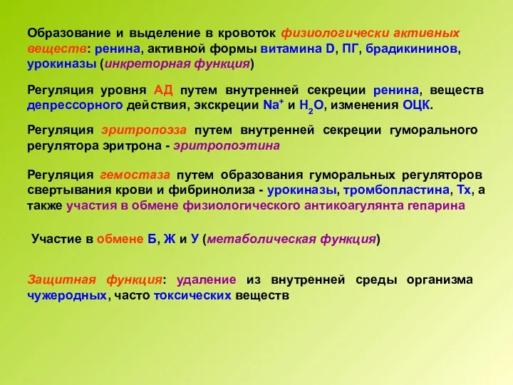 Образование и выделение в кровоток физиологически активных веществ: ренина, активной