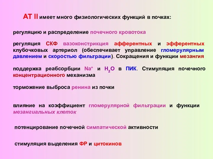 АТ II имеет много физиологических функций в почках: регуляцию и