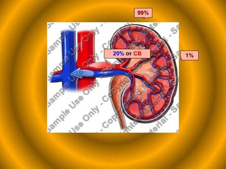 20% от СВ 99% 1%