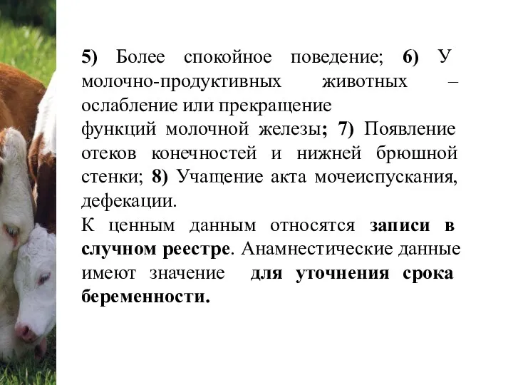 5) Более спокойное поведение; 6) У молочно-продуктивных животных – ослабление или прекращение функций