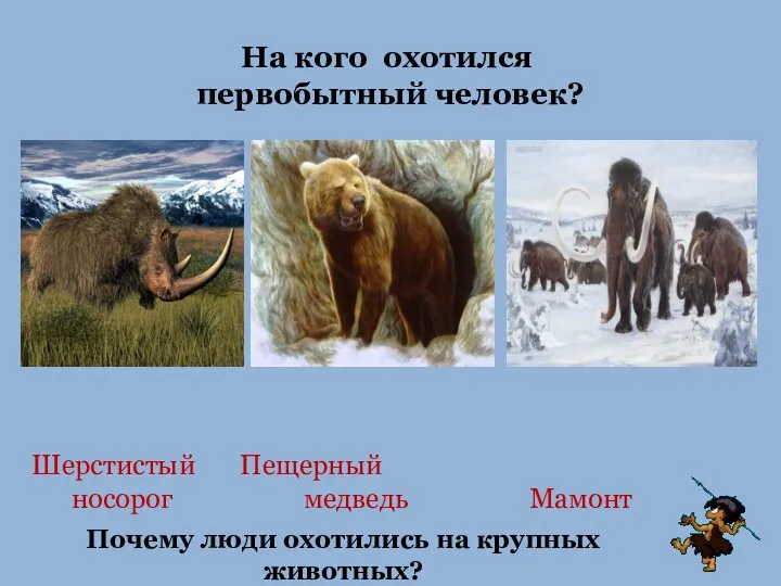 Шерстистый Пещерный носорог медведь Мамонт На кого охотился первобытный человек? Почему люди охотились на крупных животных?