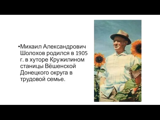 Михаил Александрович Шолохов родился в 1905 г. в хуторе Кружилином