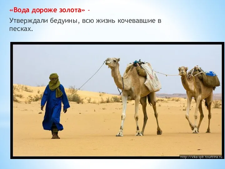 «Вода дороже золота» - Утверждали бедуины, всю жизнь кочевавшие в песках.