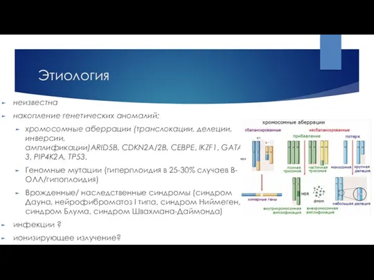 Этиология неизвестна накопление генетических аномалий: хромосомные аберрации (транслокации, делеции, инверсии, амплификации)ARID5B, CDKN2A/2B, CEBPE,