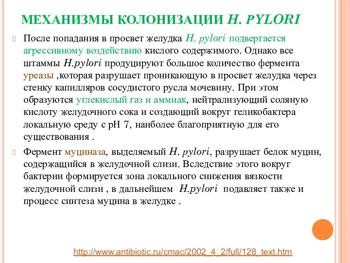 МЕХАНИЗМЫ КОЛОНИЗАЦИИ H. РYLORI После попадания в просвет желудка H.