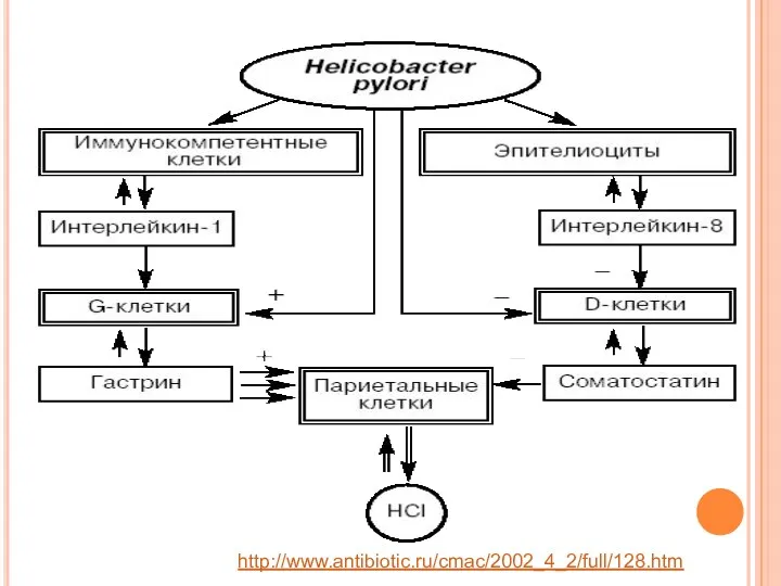 http://www.antibiotic.ru/cmac/2002_4_2/full/128.htm