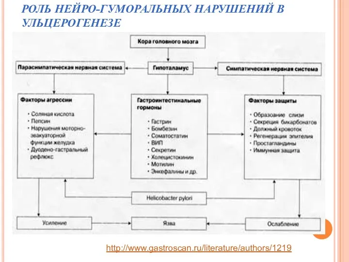 РОЛЬ НЕЙРО-ГУМОРАЛЬНЫХ НАРУШЕНИЙ В УЛЬЦЕРОГЕНЕЗЕ http://www.gastroscan.ru/literature/authors/1219