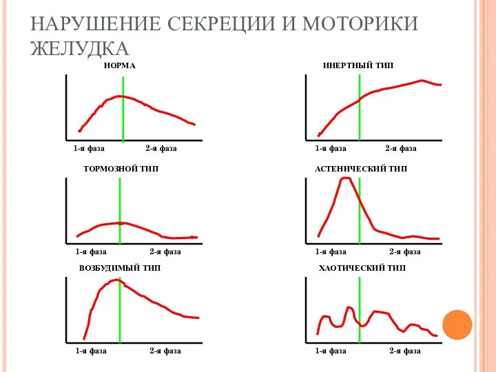 НАРУШЕНИЕ СЕКРЕЦИИ И МОТОРИКИ ЖЕЛУДКА 1-я фаза 1-я фаза 1-я