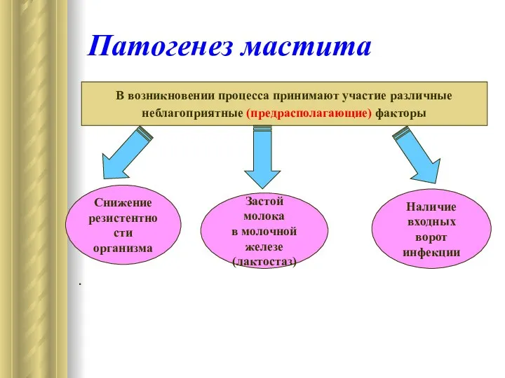 Патогенез мастита . В возникновении процесса принимают участие различные неблагоприятные