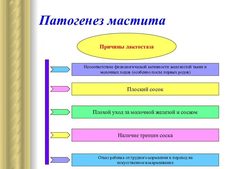 Патогенез мастита Причины лактостаза Несоответствие физиологической активности железистой ткани и