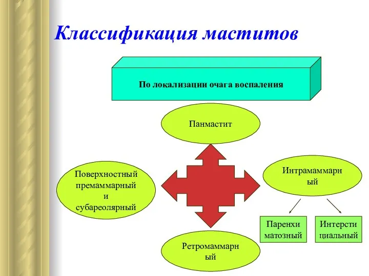 Классификация маститов По локализации очага воспаления Панмастит Интрамаммарный Ретромаммарный Поверхностный