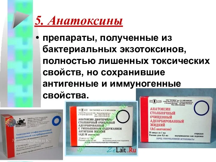 5. Анатоксины препараты, полученные из бактериальных экзотоксинов, полностью лишенных токсических