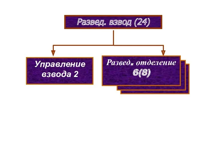 Развед. взвод (24) Управление взвода 2 Развед. отделение 6(8) (8)