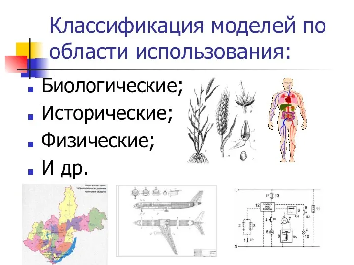 Классификация моделей по области использования: Биологические; Исторические; Физические; И др.