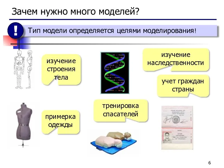 Зачем нужно много моделей? изучение строения тела примерка одежды изучение наследственности тренировка спасателей учет граждан страны