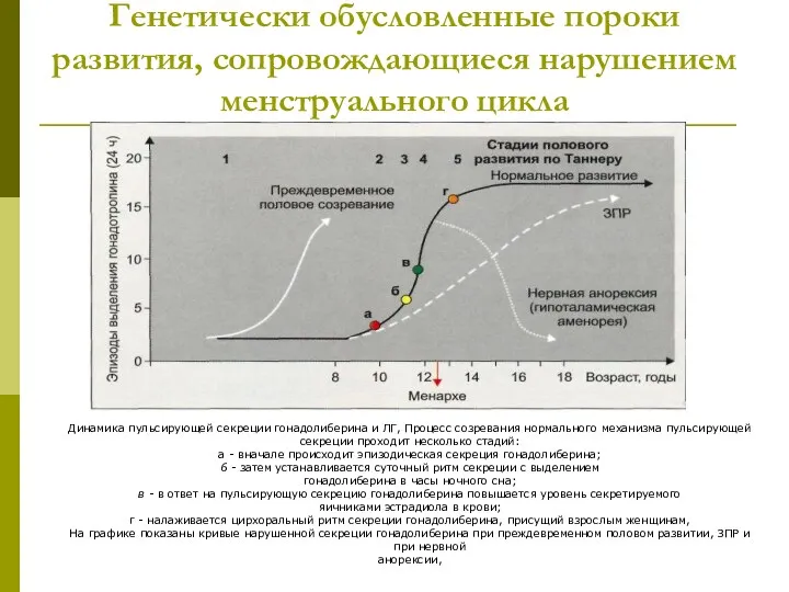 Генетически обусловленные пороки развития, сопровождающиеся нарушением менструального цикла Динамика пульсирующей