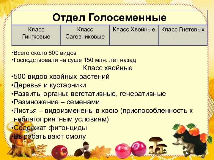 Всего около 800 видов Господствовали на суше 150 млн. лет