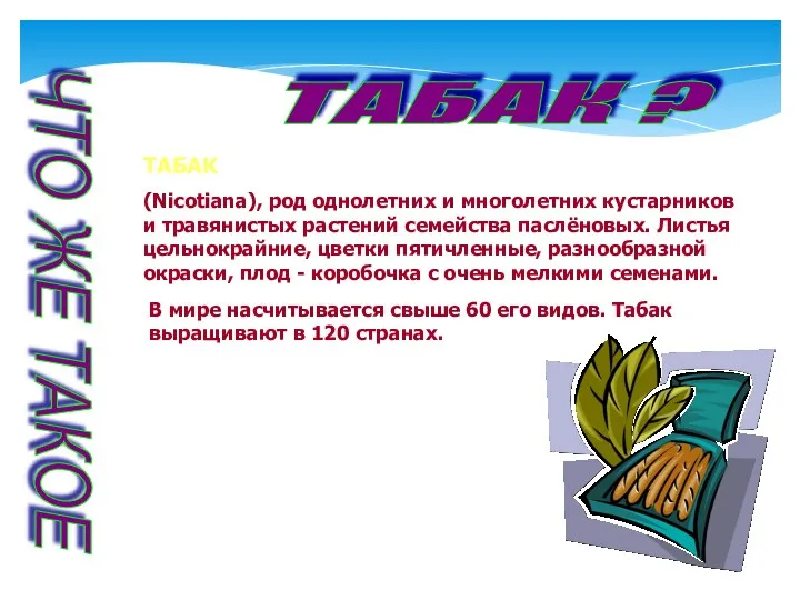 ЧТО ЖЕ ТАКОЕ ТАБАК ? ТАБАК (Nicotiana), род однолетних и многолетних кустарников и