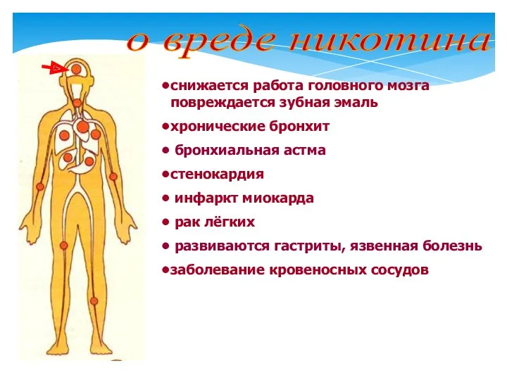 о вреде никотина снижается работа головного мозга повреждается зубная эмаль хронические бронхит бронхиальная