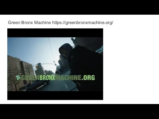 Green Bronx Machine https://greenbronxmachine.org/