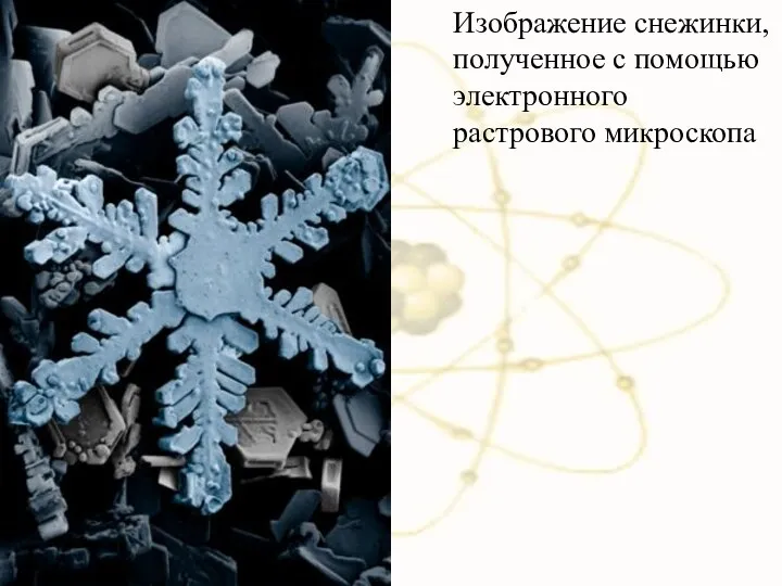 Изображение снежинки, полученное с помощью электронного растрового микроскопа