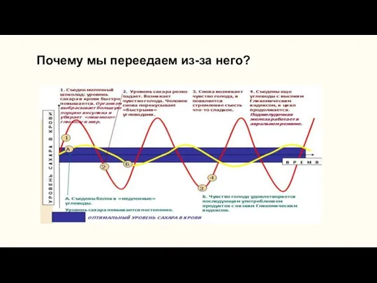 Почему мы переедаем из-за него?