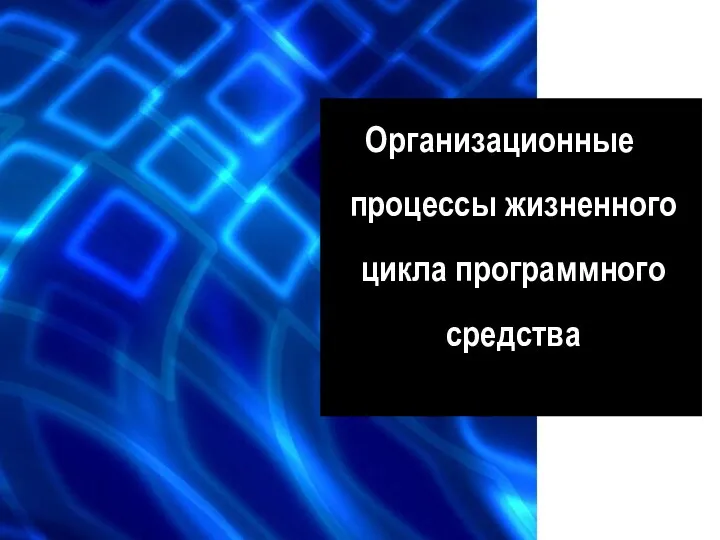 Организационные процессы жизненного цикла программного средства