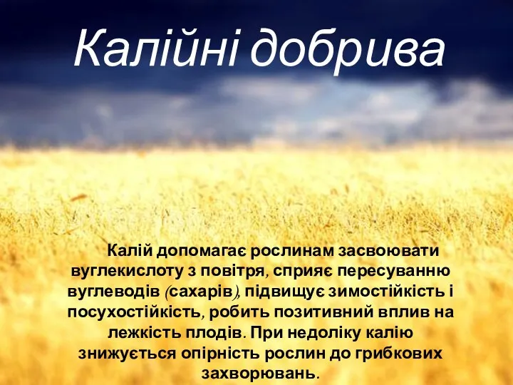 Калійні добрива Калій допомагає рослинам засвоювати вуглекислоту з повітря, сприяє