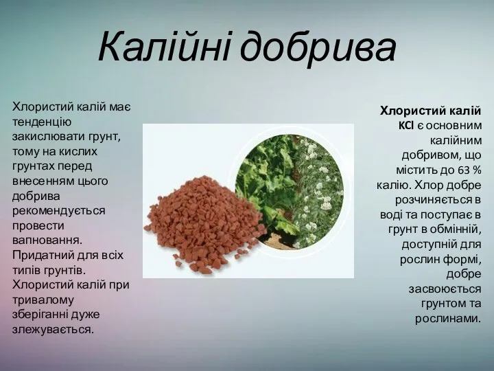 Калійні добрива Хлористий калій KCl є основним калійним добривом, що