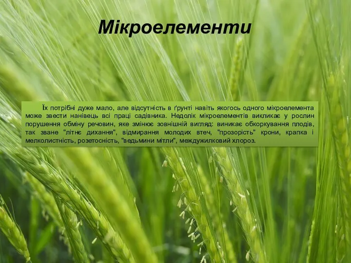 Мікроелементи Їх потрібні дуже мало, але відсутність в ґрунті навіть