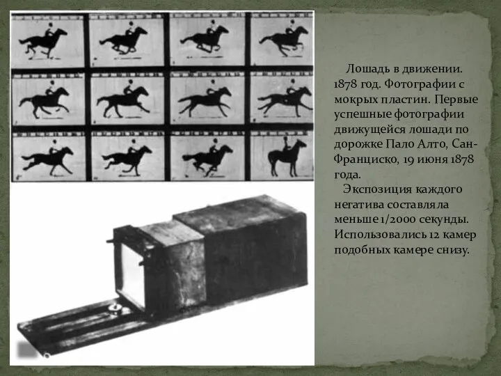 Лошадь в движении. 1878 год. Фотографии с мокрых пластин. Первые